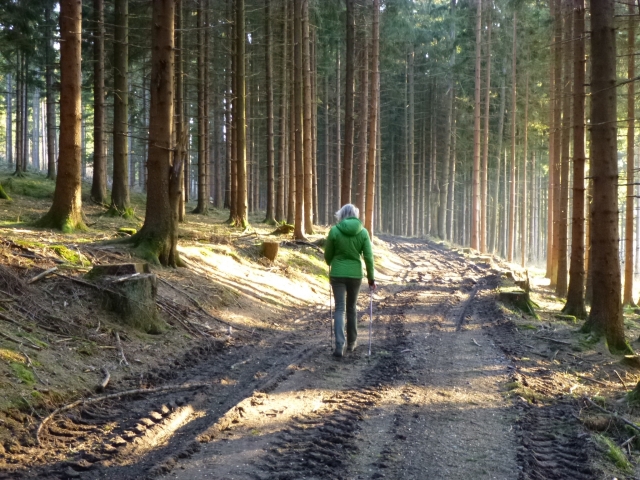  nordic walking 